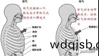 南京舒普思達醫(yī)療設備有限公司 